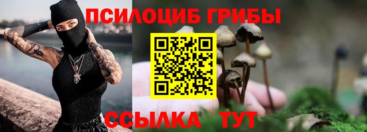 Псилоцибиновые грибы Psilocybe  Вход с VPN  Псилоцибиновые грибы мухоморы  Ялта 
